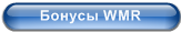  WMR